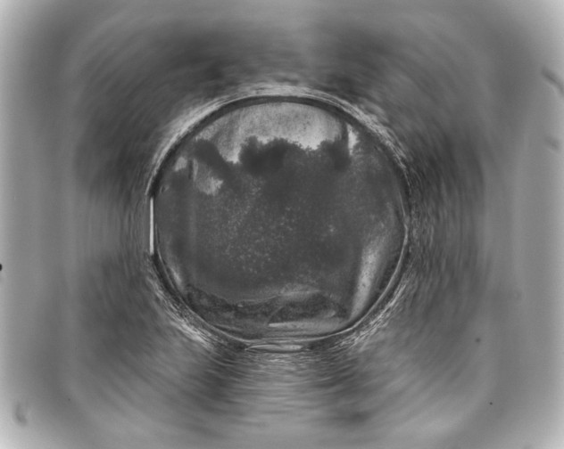 X0000098071223200804181124