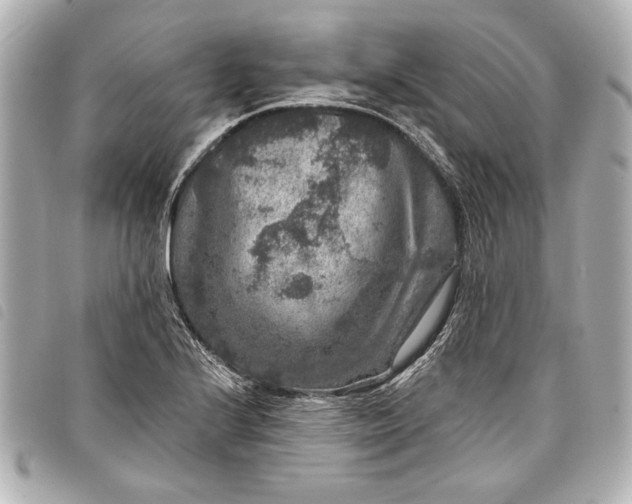 X0000098071224200804181124