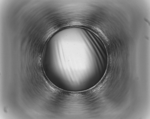 X0000098071225200804181124