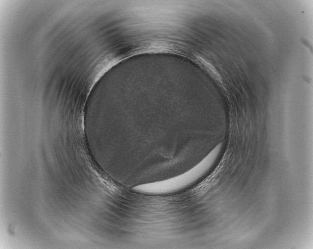 X0000098071226200804181124