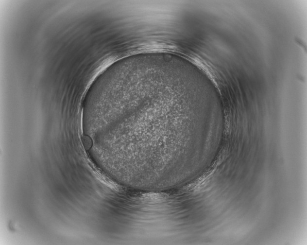 X0000098071227200804181124