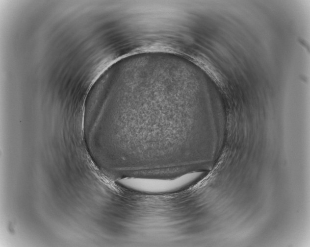 X0000098071228200804181124