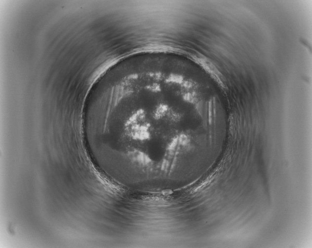 X0000098071229200804181124