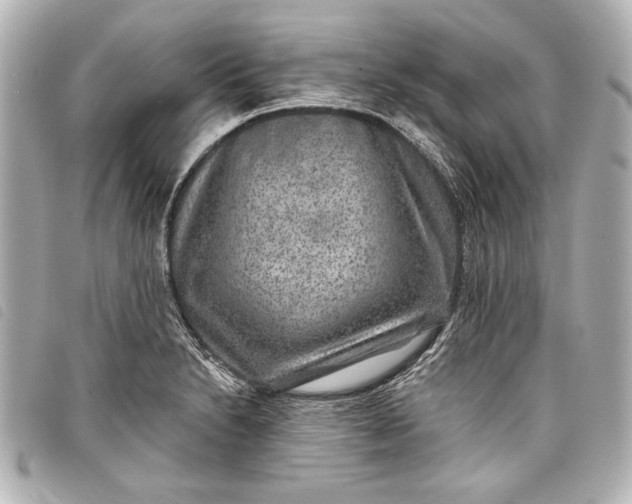 X0000098071230200804181124