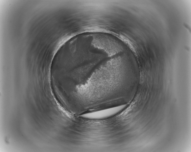 X0000098071231200804181124