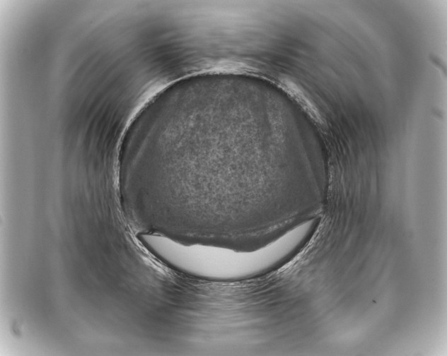 X0000098071232200804181124