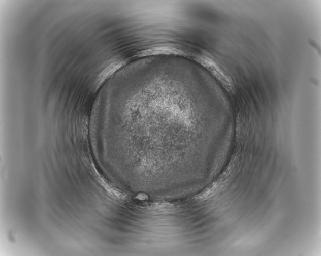 X0000098071233200804181124