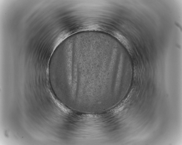 X0000098071234200804181124