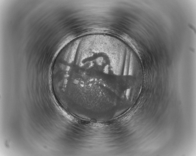 X0000098071235200804181124