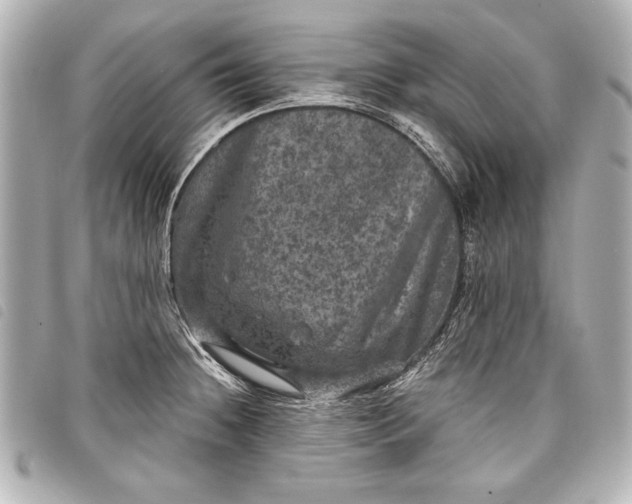 X0000098071236200804181124