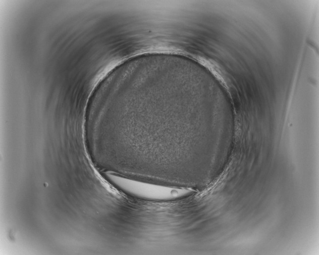 X0000098071237200804181124