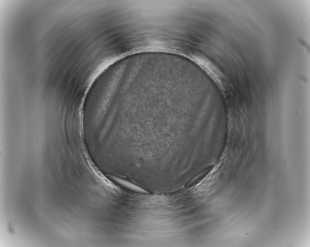 X0000098071238200804181124