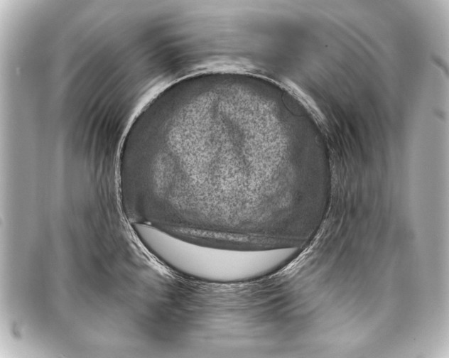 X0000098071240200804181124