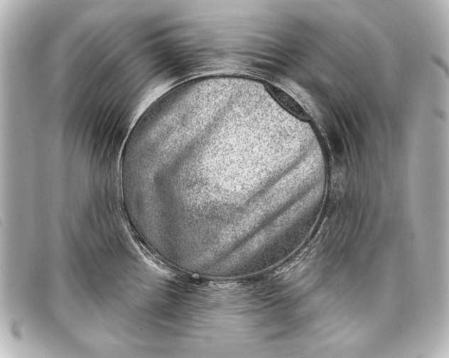 X0000098071242200804181124