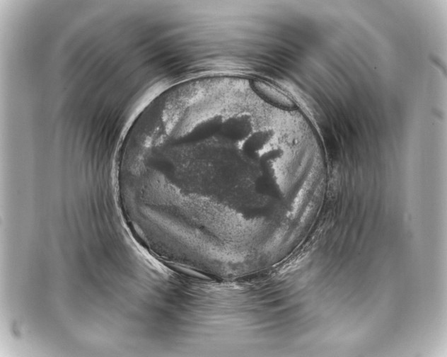 X0000098071243200804181124