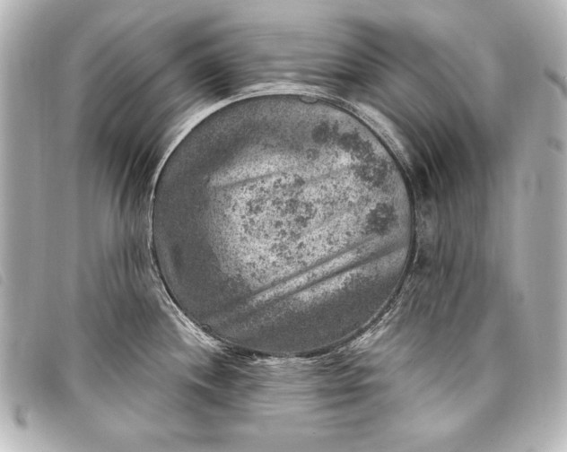 X0000098071244200804181124