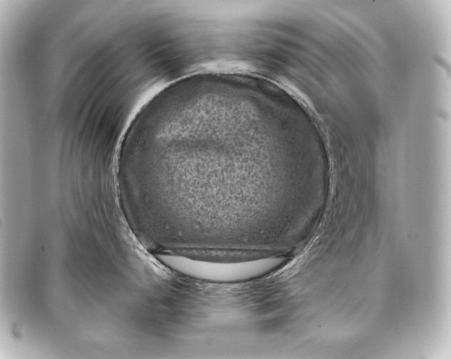 X0000098071248200804181124