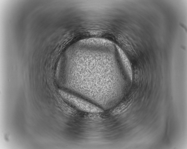 X0000098071249200804181123