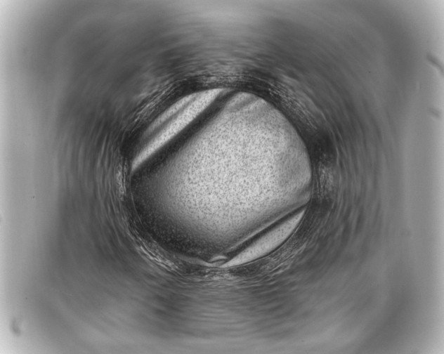 X0000098071250200804181123