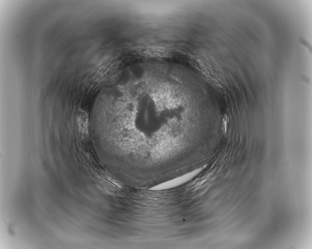 X0000098071251200804181123