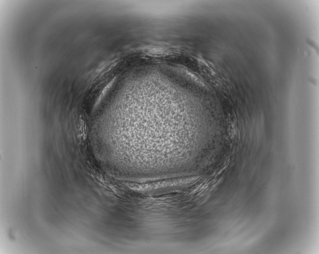 X0000098071253200804181123