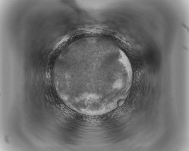 X0000098071254200804181123