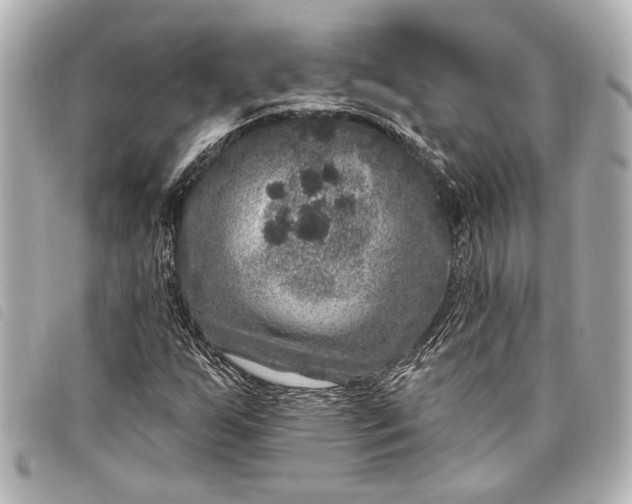 X0000098071255200804181123