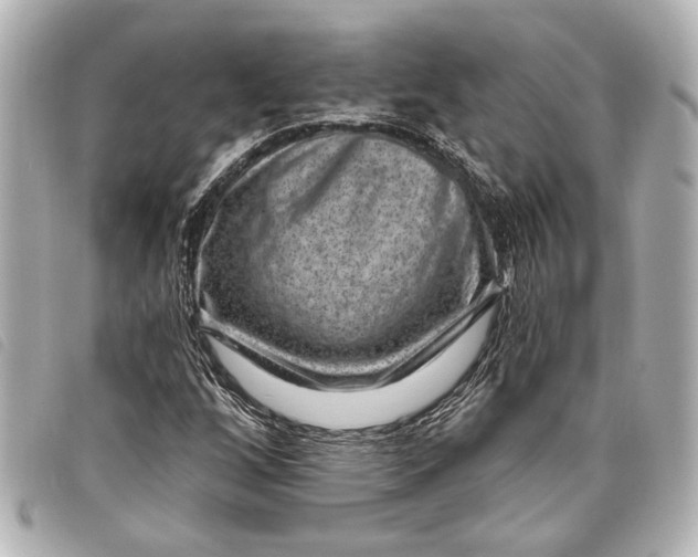 X0000098071256200804181123