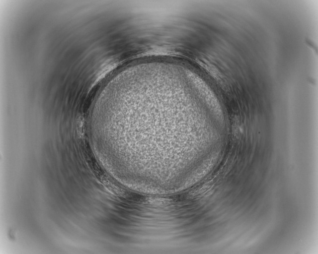 X0000098071258200804181123