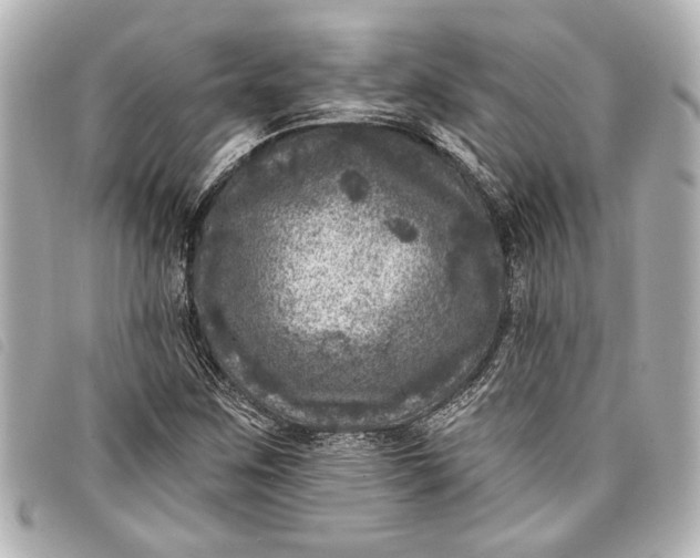 X0000098071259200804181123