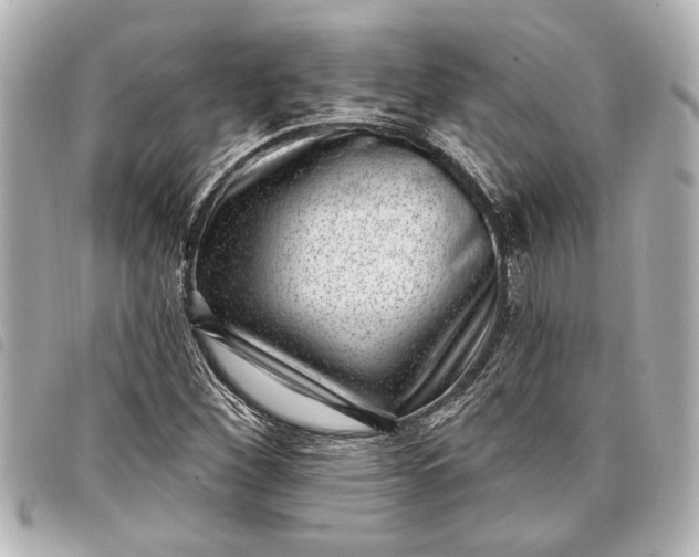 X0000098071260200804181123