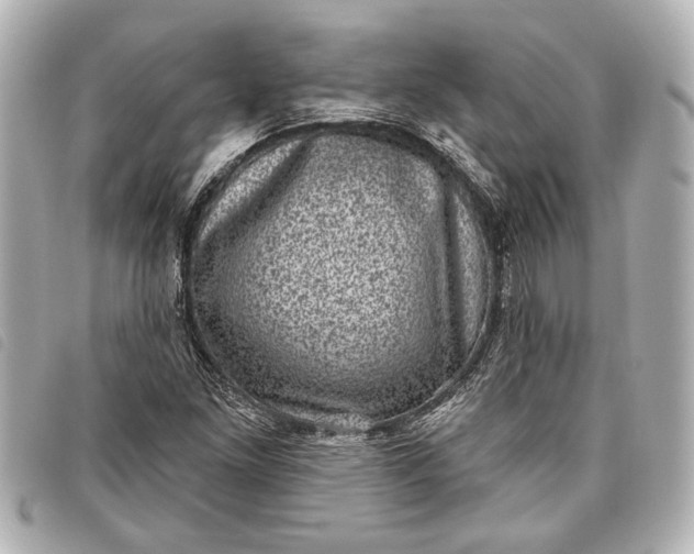 X0000098071261200804181123