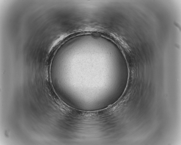 X0000098071262200804181123