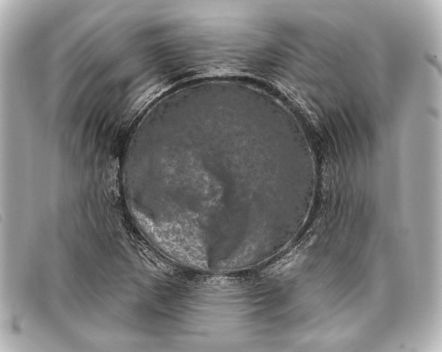 X0000098071265200804181123