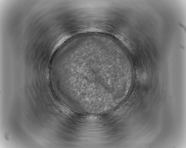 X0000098071266200804181123