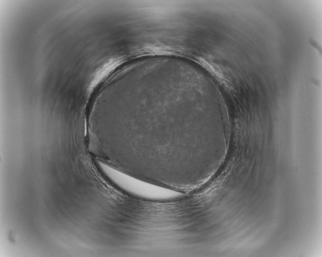 X0000098071269200804181123