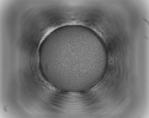 X0000098071270200804181123