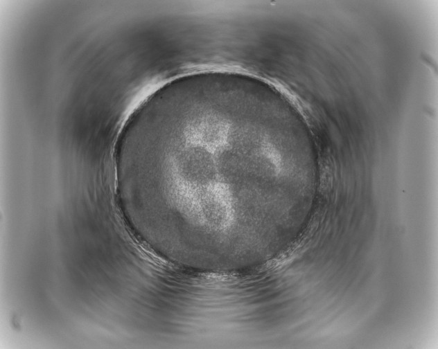 X0000098071271200804181123