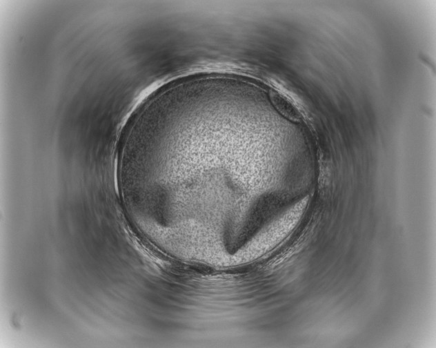 X0000098071272200804181123