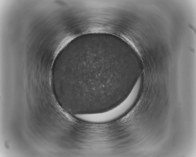 X0000098071277200804181123