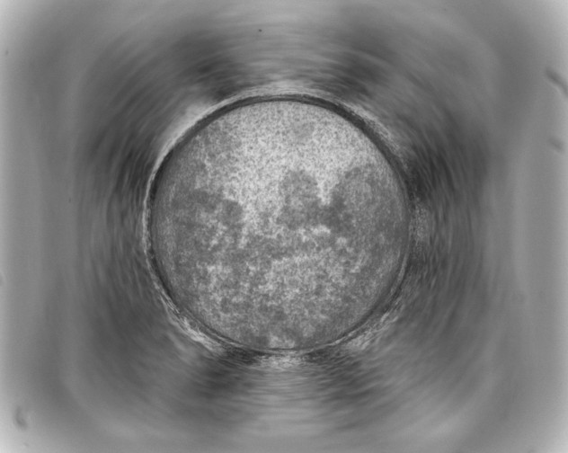 X0000098071278200804181123