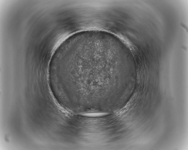 X0000098071279200804181123