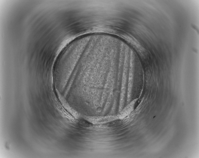 X0000098071280200804181123