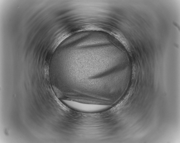 X0000098071281200804181123