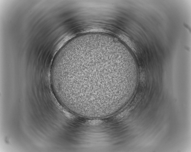 X0000098071282200804181123