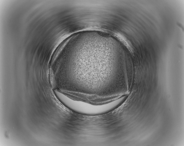 X0000098071284200804181123