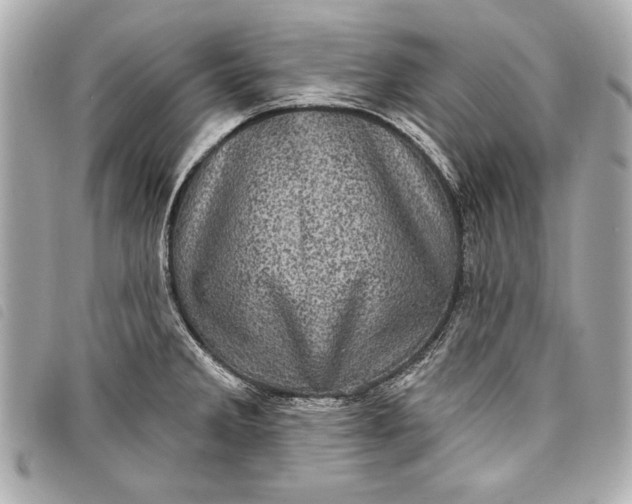 X0000098071285200804181123