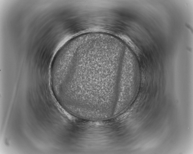 X0000098071286200804181123