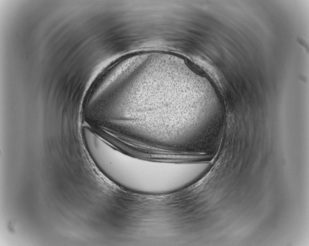 X0000098071288200804181123