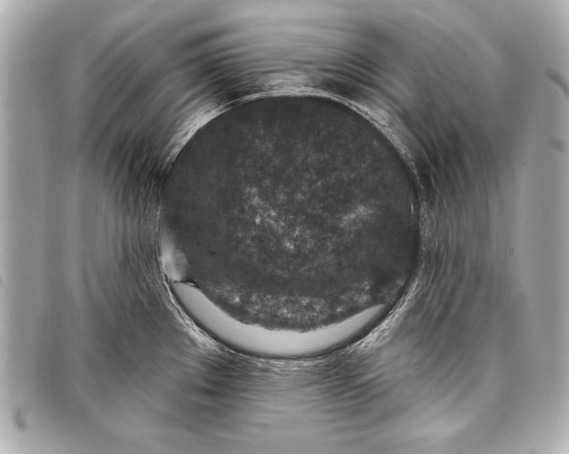 X0000098071289200804181123